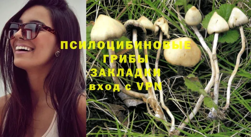 площадка формула  Беслан  mega онион  Галлюциногенные грибы Psilocybe  где можно купить  